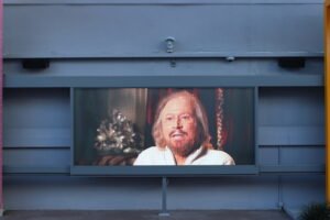 Maurice Gibb on-screen